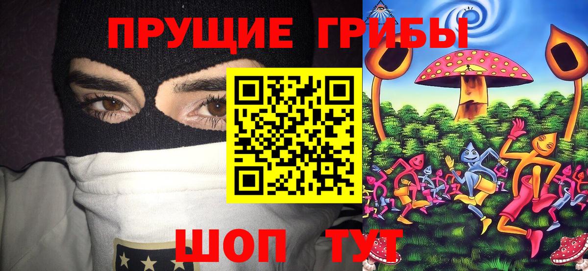Псилоцибиновые грибы Magic Shrooms Сланцы