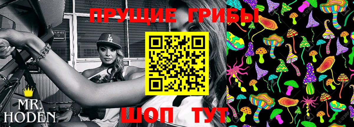Галлюциногенные грибы MAGIC MUSHROOMS  Вход с VPN  Сланцы  Галлюциногенные грибы GOLDEN TEACHER 