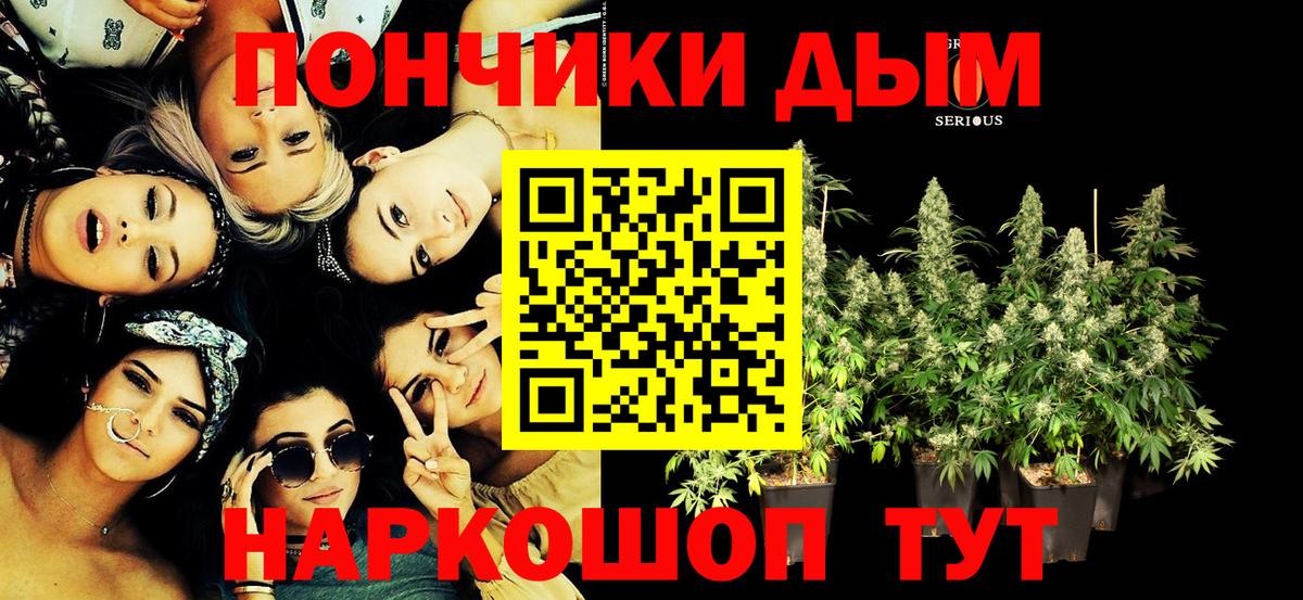Каннабис SATIVA & INDICA Сланцы